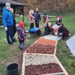 IMG 20251109 112513 223