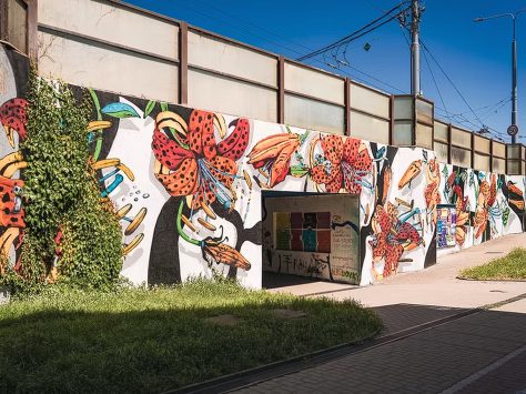 Wallz no.7