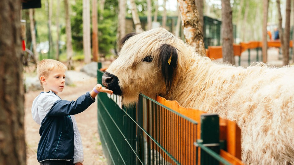 Měsíční program pro děti - duben 2026