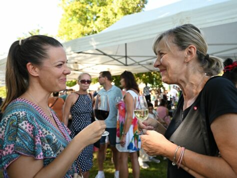 Bolevecké vinobraní