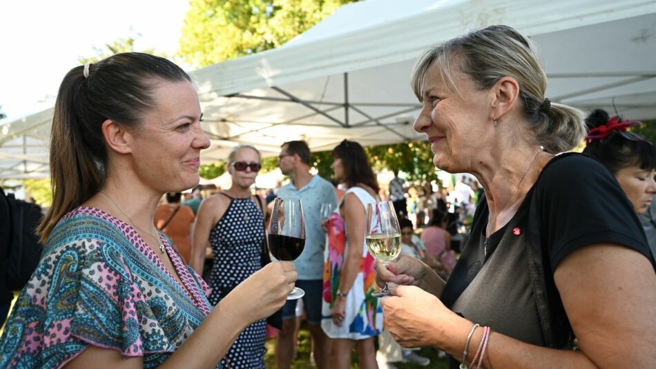 Bolevecké vinobraní
