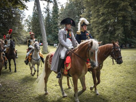 Napoleonské slavnosti