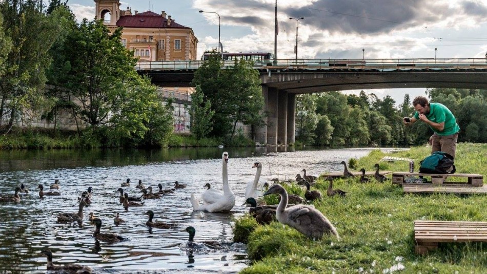 Mže - Rooseveltův most Plzeň