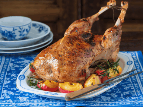 Why and How to Celebrate St. Martin in Pilsen?