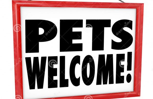 pets-welcome-allowed-permitted-store-business-building-sign-other-place-as-advertised-hanging-as-invitation-41568048