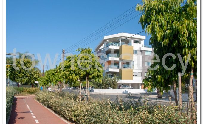 For rent 1 bd newish apartment in Katholiki area