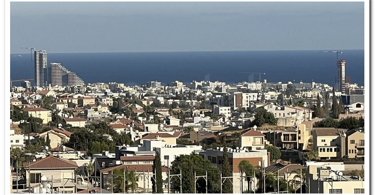 MICHALIS 201 (41)