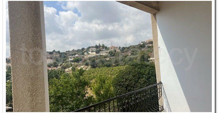 PISOURI ANTONIS (16)