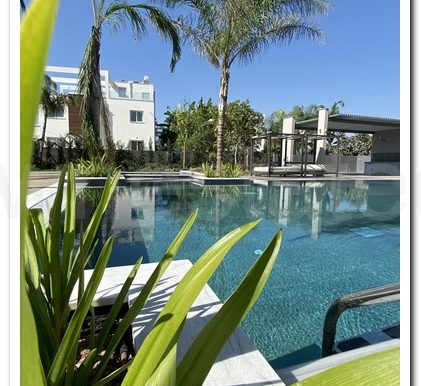 Pool View 2
