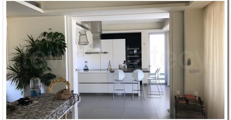 SAVVAS 6060 (43)