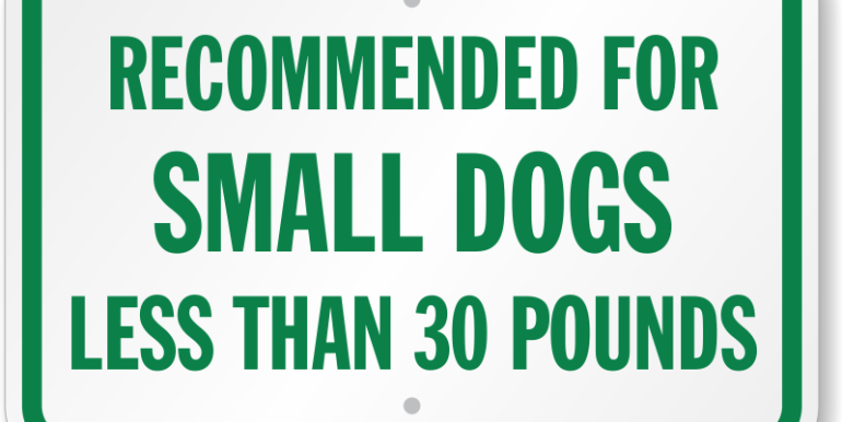 36 SMALL PETS