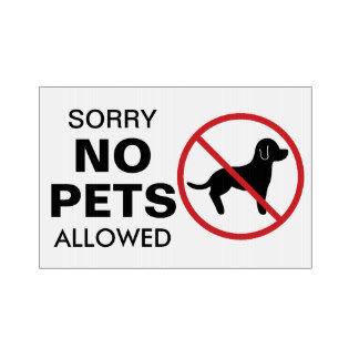 44 NO PETS