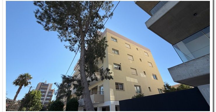 AGIA ZONI OFFICES (14)