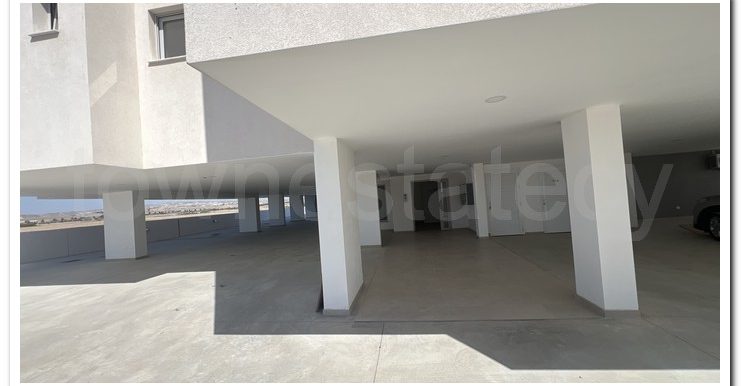 ALEKOS LARNACA (3)