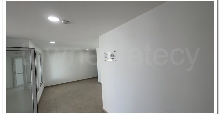 ALEKOS LARNACA (43)