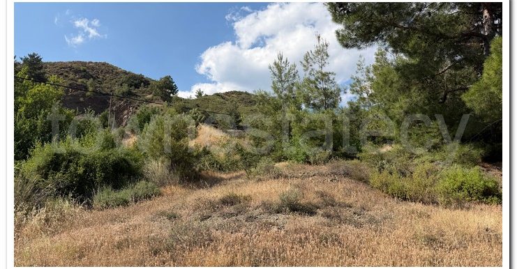ALEKOS MANDRIA PLOT (1)