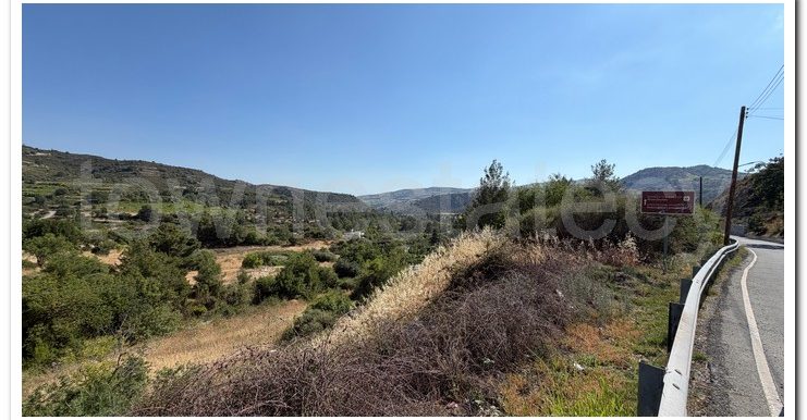 ALEKOS MANDRIA PLOT (13)