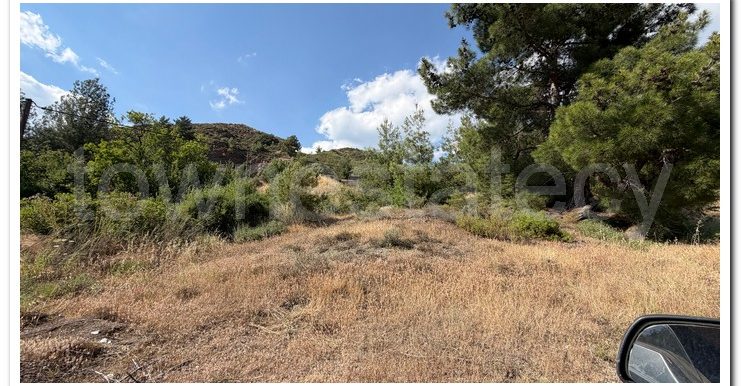 ALEKOS MANDRIA PLOT (2)