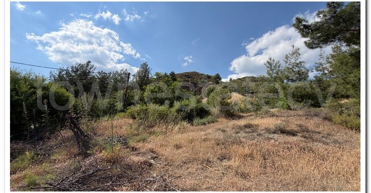 ALEKOS MANDRIA PLOT (3)