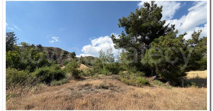 ALEKOS MANDRIA PLOT (4)