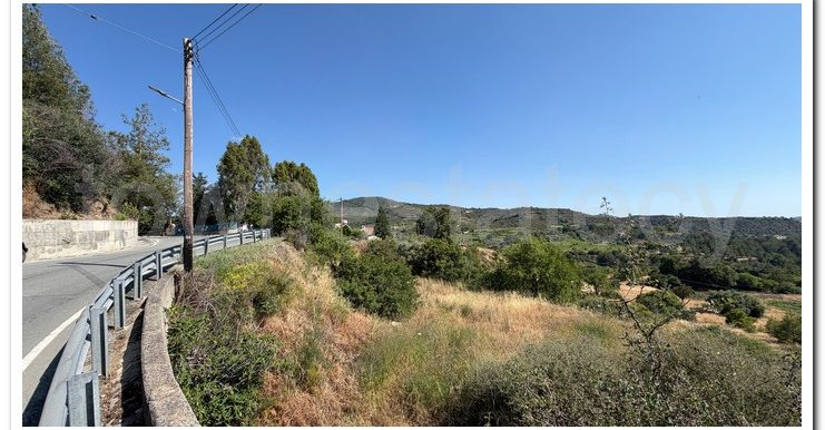 ALEKOS MANDRIA PLOT (9)