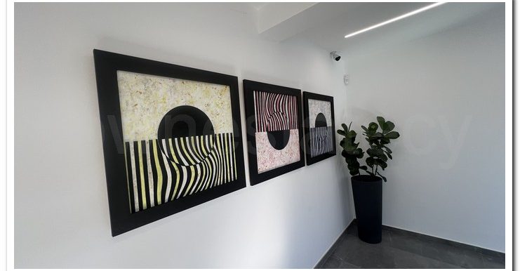 DOROS DRAKOULLA (12)