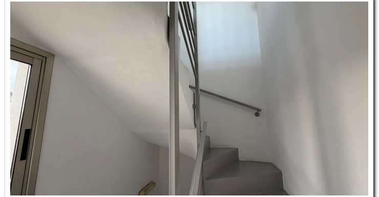 DUPLEX MICHALIS (47)