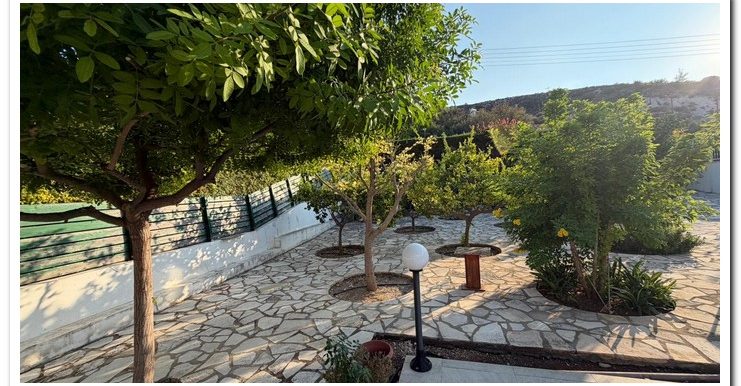 ELEVTHERIA FINIKARIA (22)
