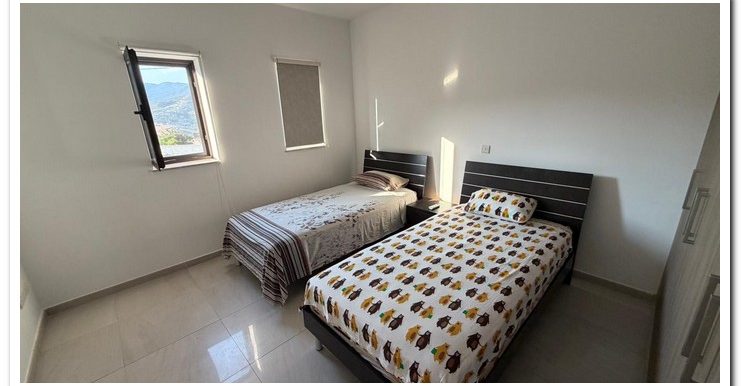 ELEVTHERIA FINIKARIA (50)