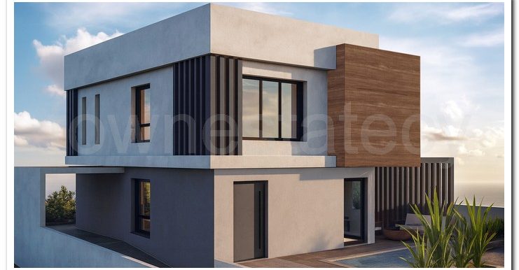 GARPOZIS PANTHEA (2)
