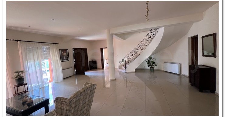 IRINI EX ELIAS HOTEL VILLA KATHOLIKI (38)