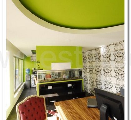 IRINI STUDIOS AG (14)