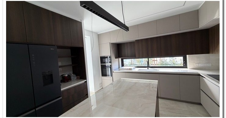IRINI VILLA BRAND NEW (19)