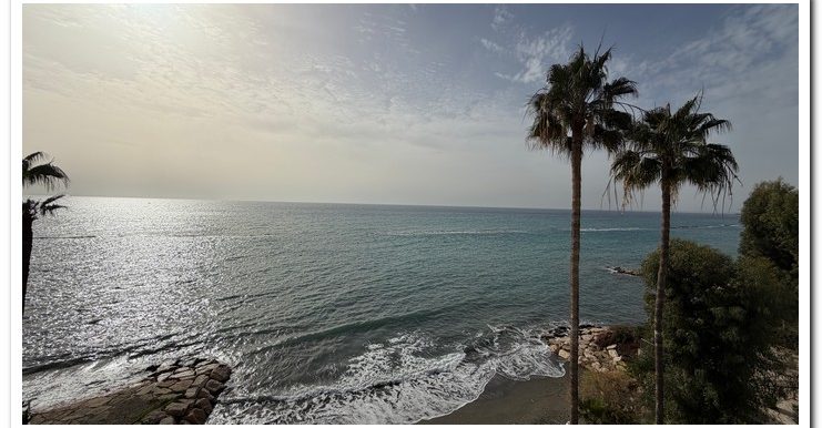 KALLIS SEA BREAZE FIRST LINE (9)
