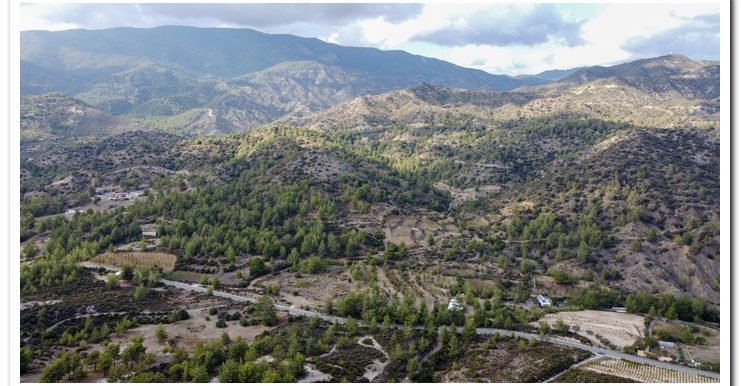 LAND AYIOS MAMAS (2)