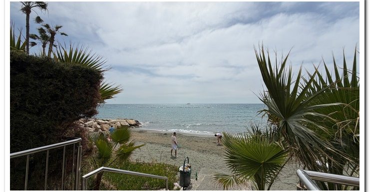 LIVERAS NEW SEA BRE (13)