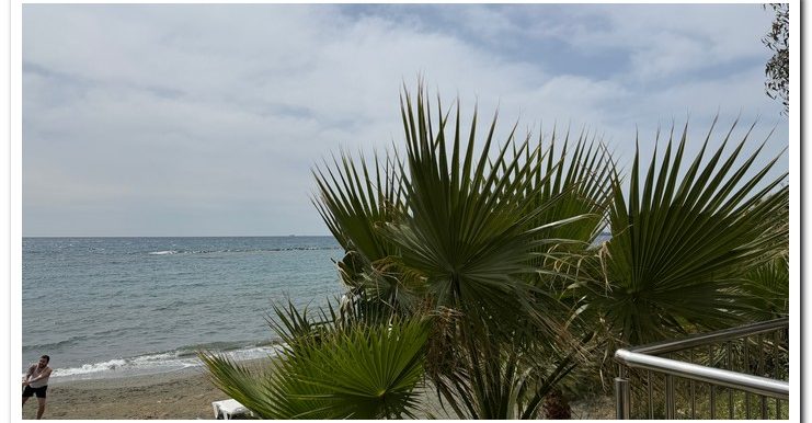 LIVERAS NEW SEA BRE (9)
