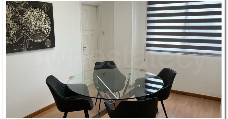 MAMMUTH ERA OFFICES (6)