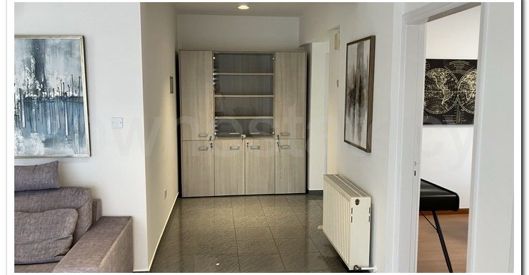 MAMMUTH ERA OFFICES (9)