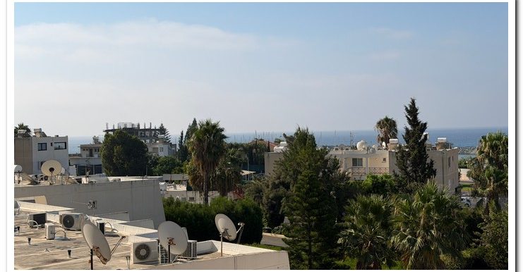 MARINA COURT MAMMOUTH (12)