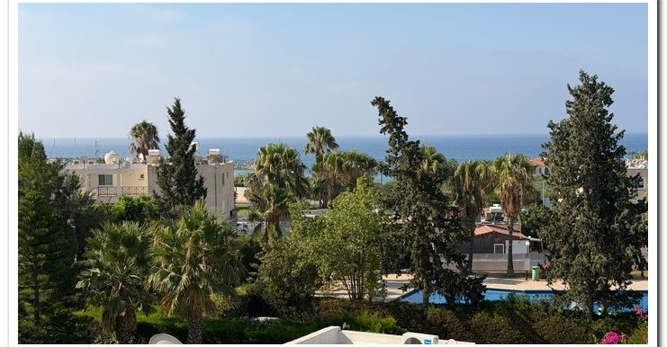 MARINA COURT MAMMOUTH (13)