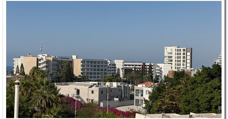 MARINA COURT MAMMOUTH (14)