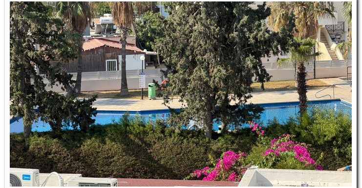MARINA COURT MAMMOUTH (15)