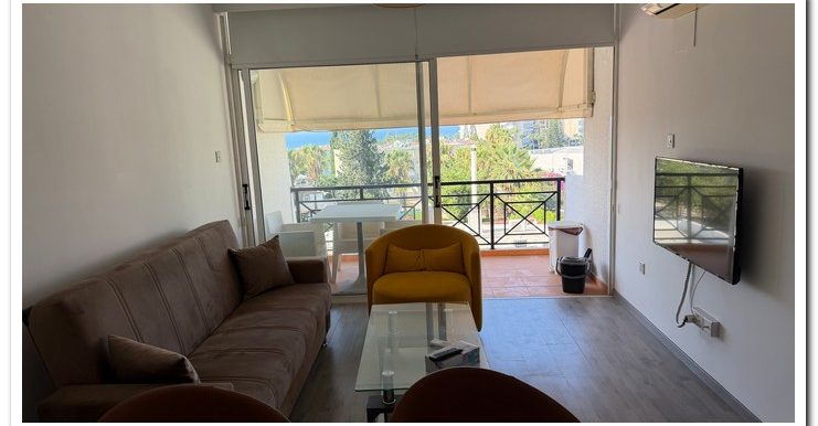 MARINA COURT MAMMOUTH (17)