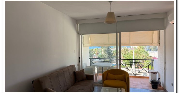 MARINA COURT MAMMOUTH (19)