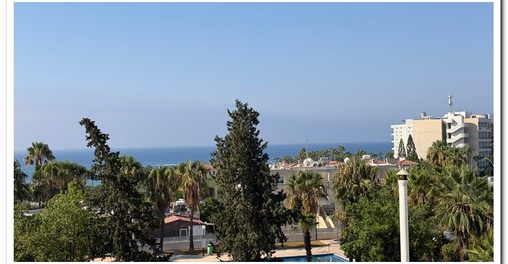 MARINA COURT MAMMOUTH (2)