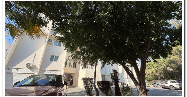 MARINA COURT MAMMOUTH (25)