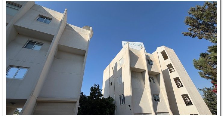 MARINA COURT MAMMOUTH (26)