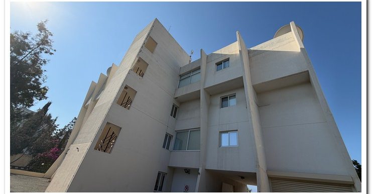 MARINA COURT MAMMOUTH (27)