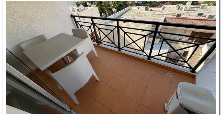MARINA COURT MAMMOUTH (35)
